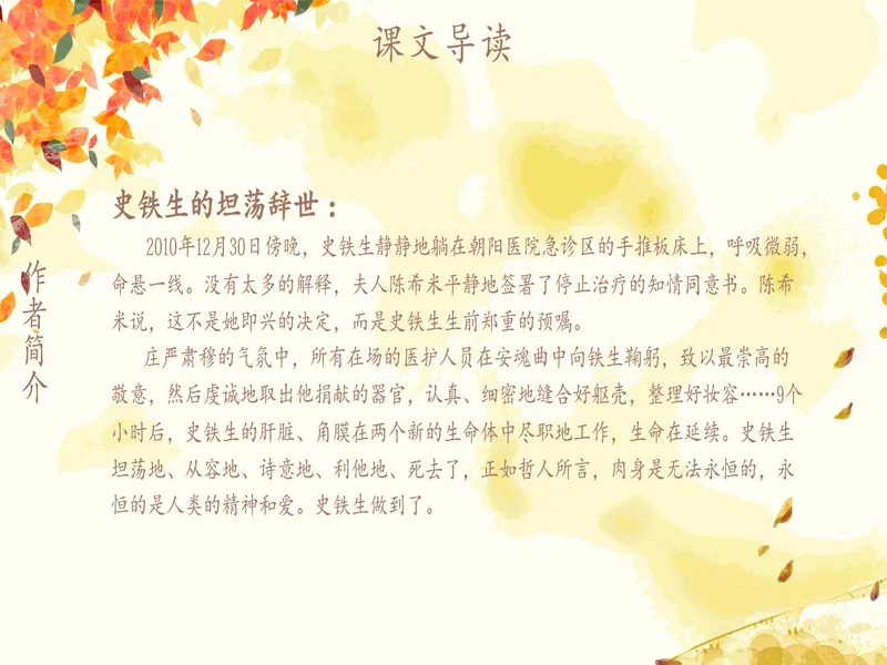 PPT内页预览