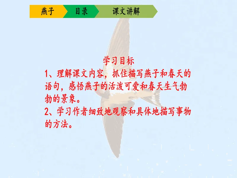 PPT内页预览