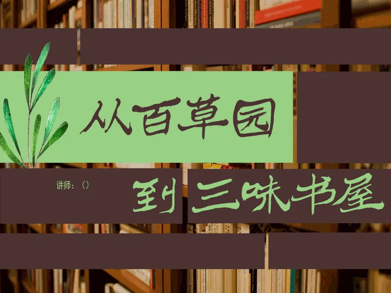 PPT内页预览