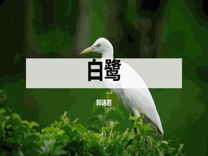 PPT内页预览