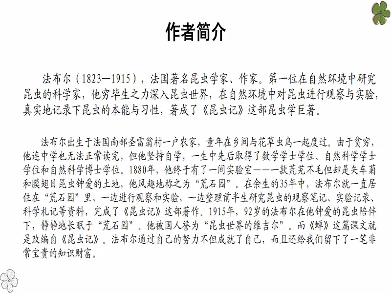 PPT内页预览
