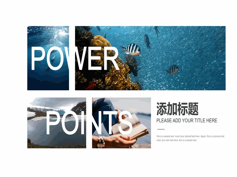 PPT内页预览