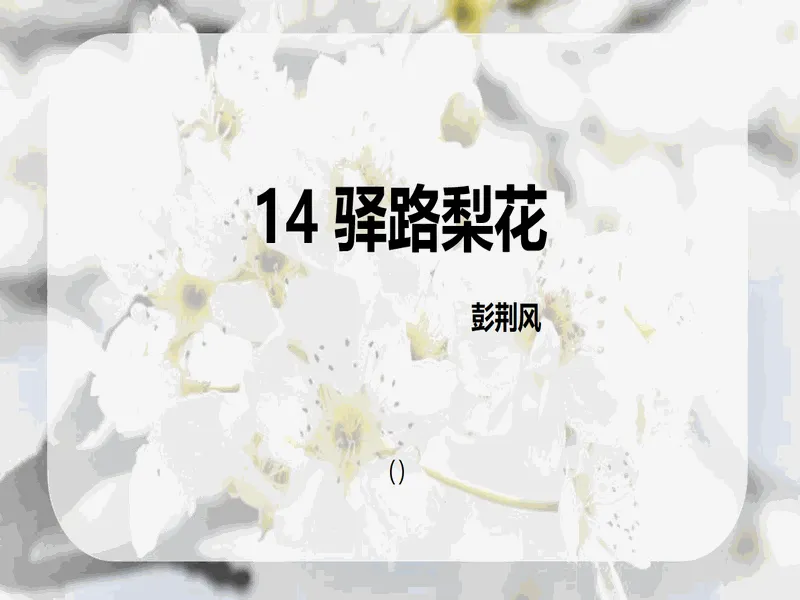 PPT内页预览