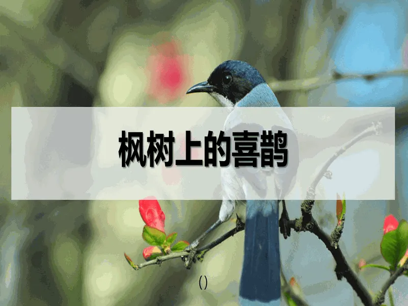 PPT内页预览