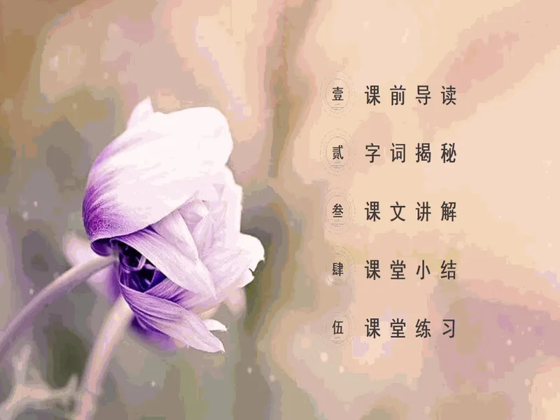 PPT内页预览