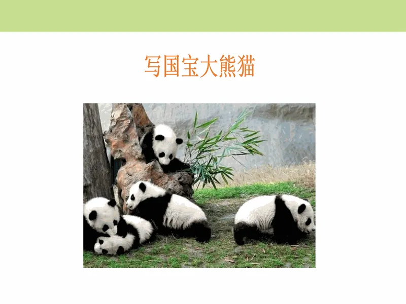 PPT内页预览