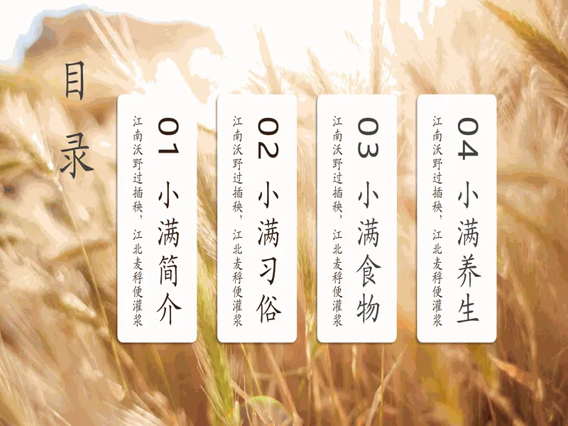 PPT内页预览