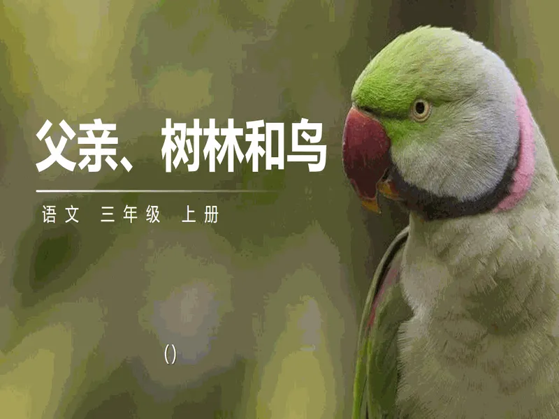 PPT内页预览