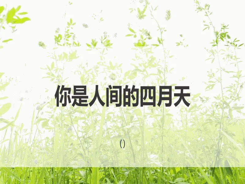PPT内页预览